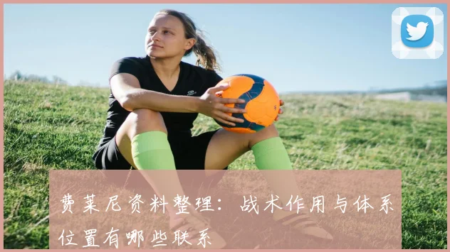 费莱尼资料整理：战术作用与体系位置有哪些联系
